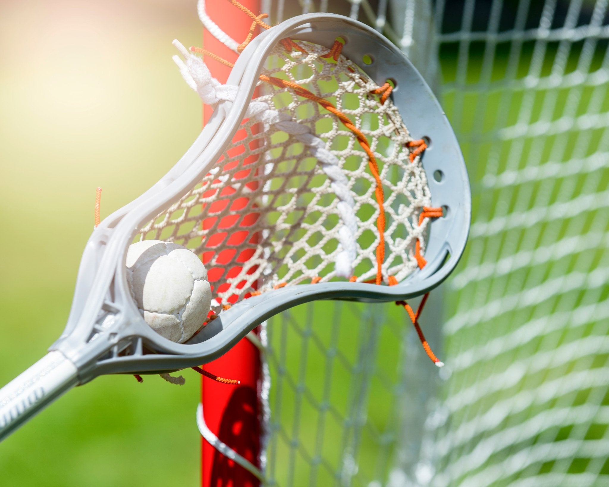 Lacrosse, Field Hockey, & Rugby
