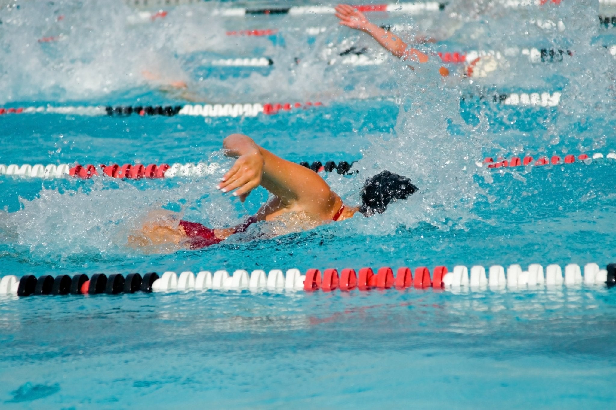 Swim & Dive