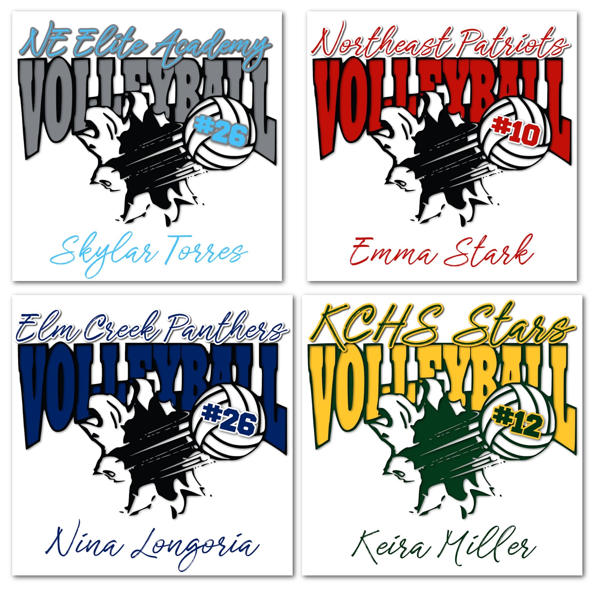 Examples of How You Customize the Volleyball Player Decoration with Team Name, Athlete Name, Team Colors, Year, Tournament, Mascot, and More.